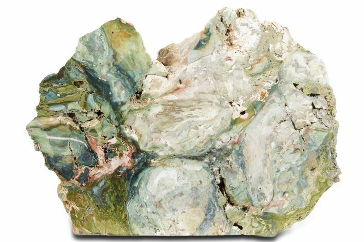 Free-Standing, Gary Green Jasper (Larsonite) Bog Wood - Oregon #334797